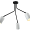 Rivoli 3167-303