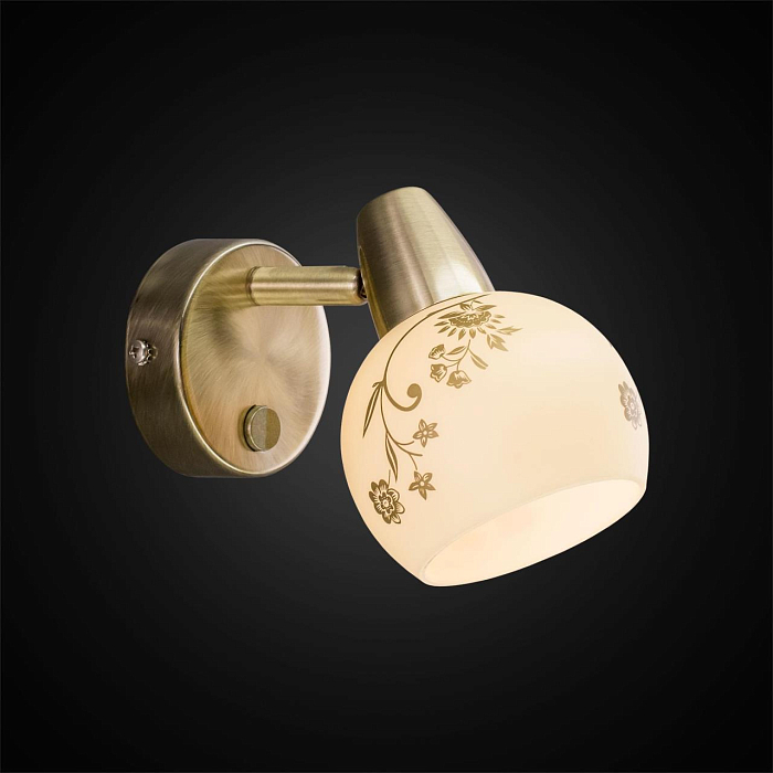 Спот Citilux CL520513